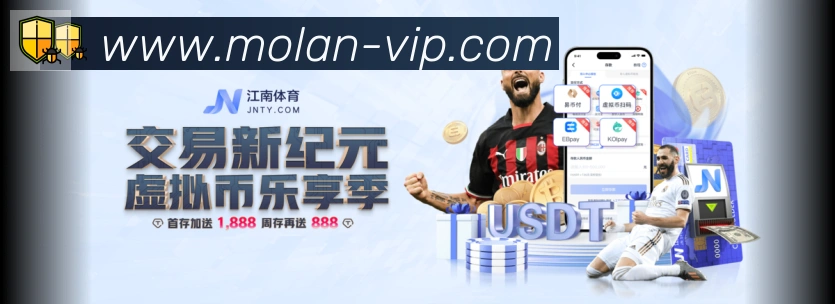 未来规划